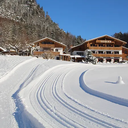 Hotel Seeblick 3*
